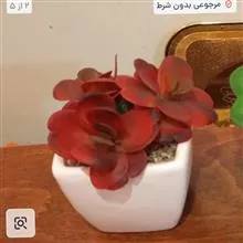یک