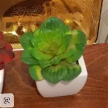 یک