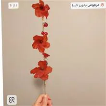گل
