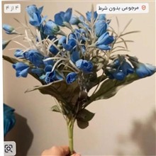 دسته