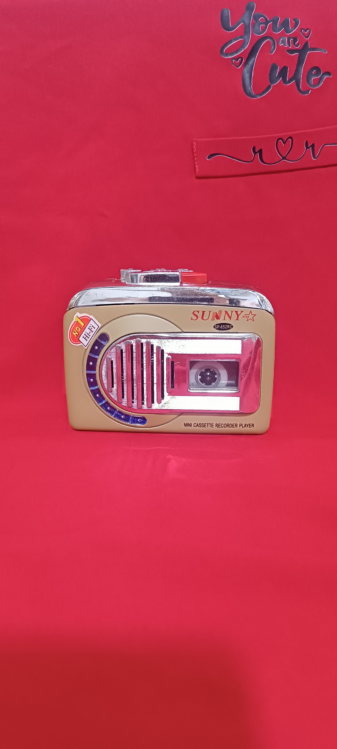 واکمن سالم سانی