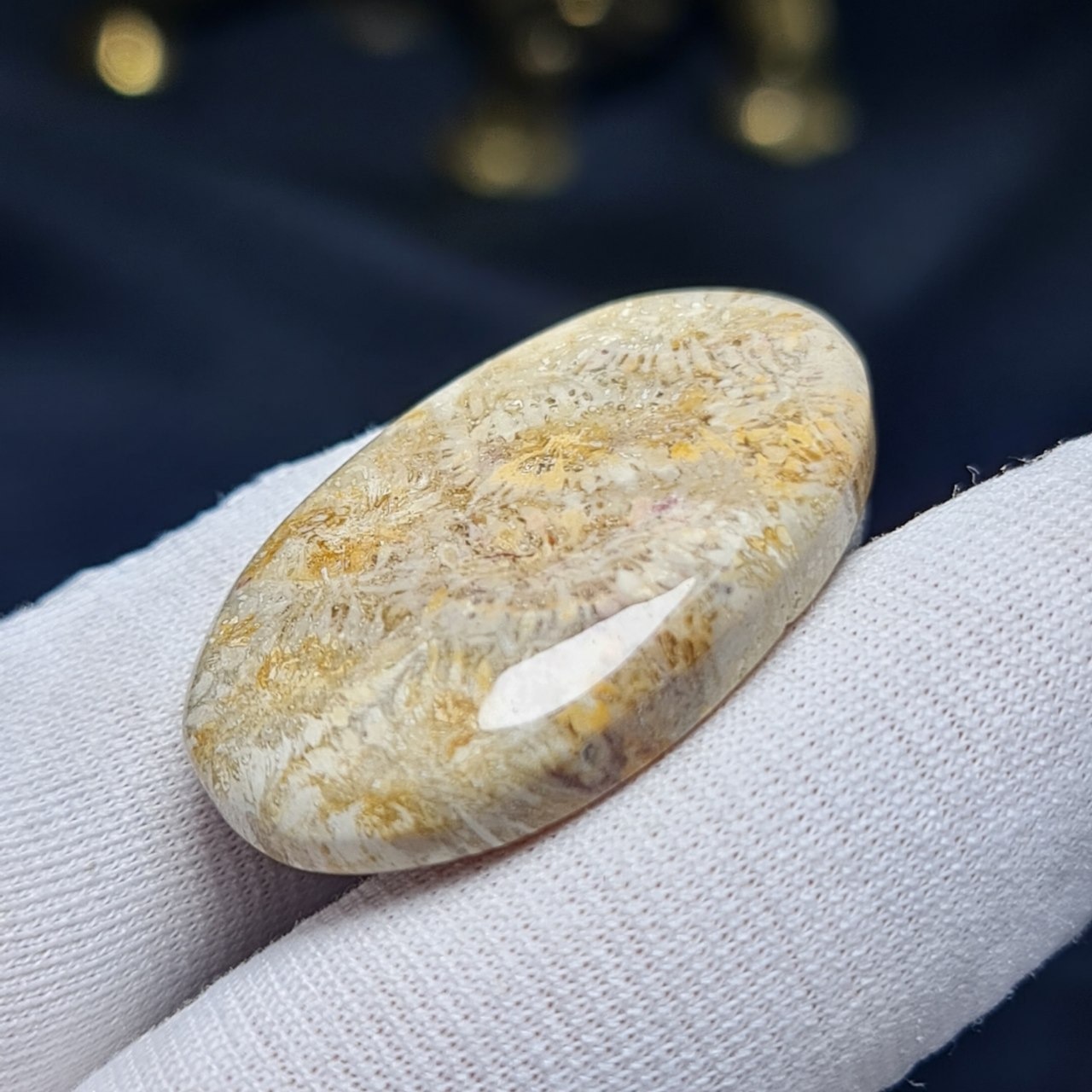 نگین درشت سنگ طبیعی فسیل مرجان معدنی کد T2473