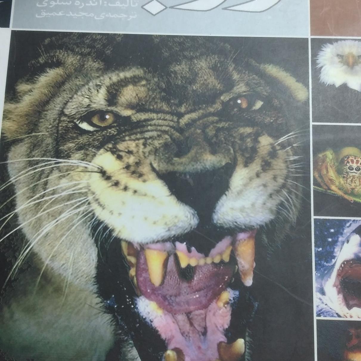 کتاب راز بقای درجه یک