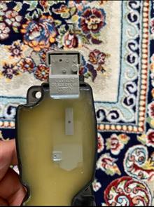کوئل