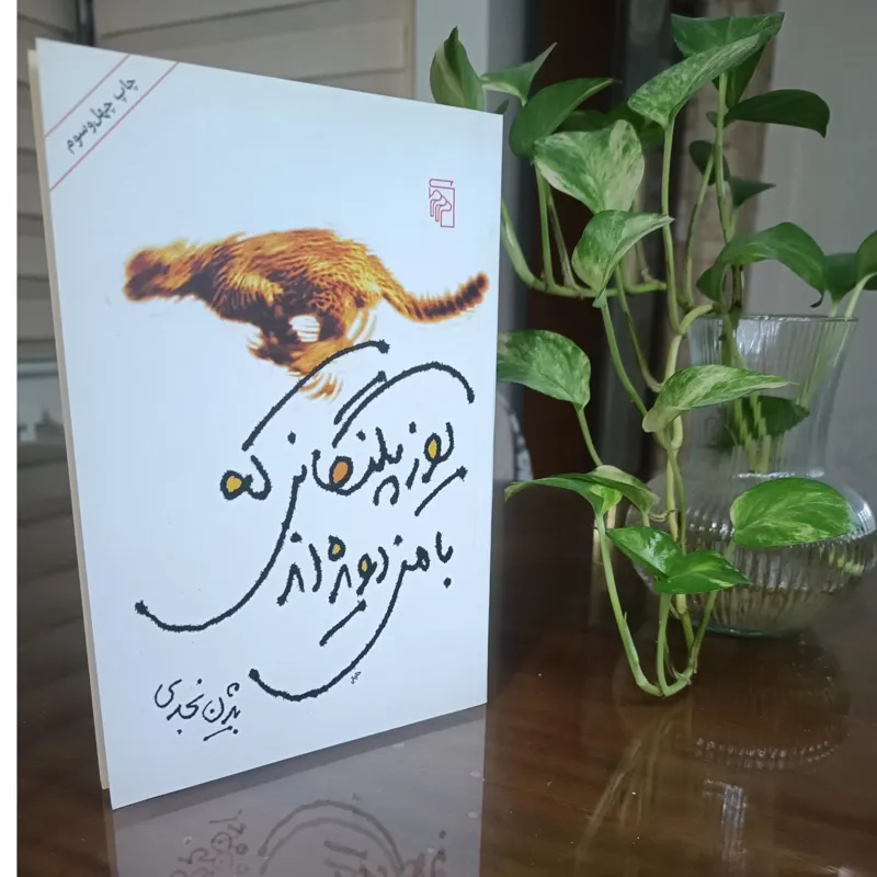 یوزپلنگانی که با من دویدهاند