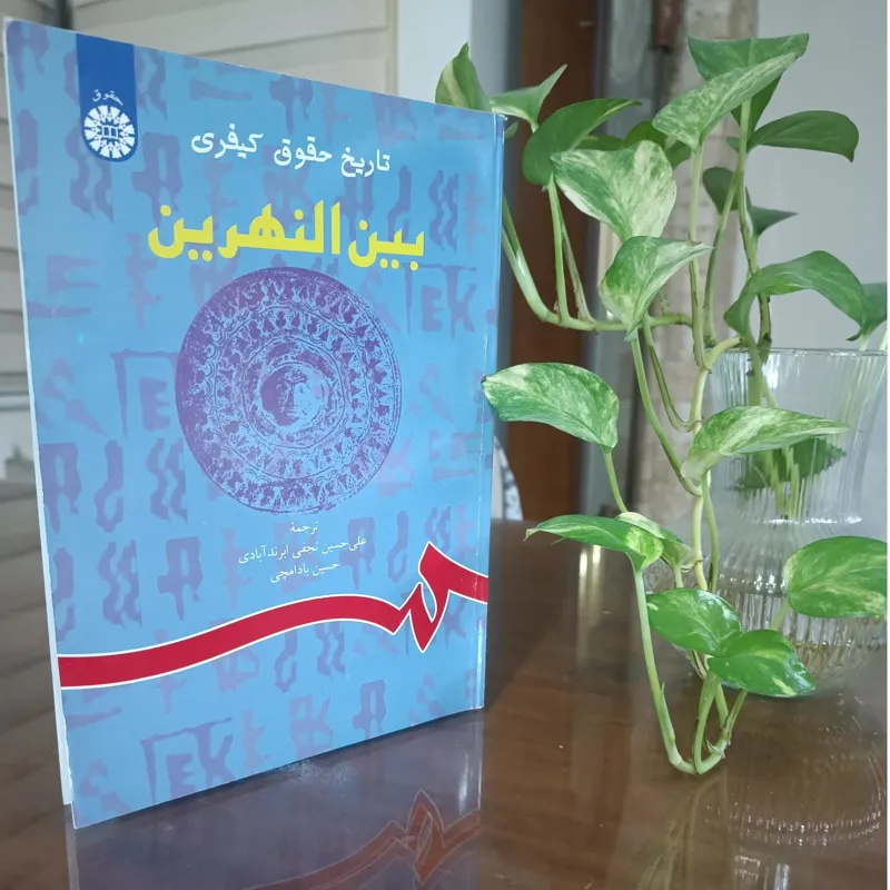 تاریخ حقوق کیفری بین النهرین