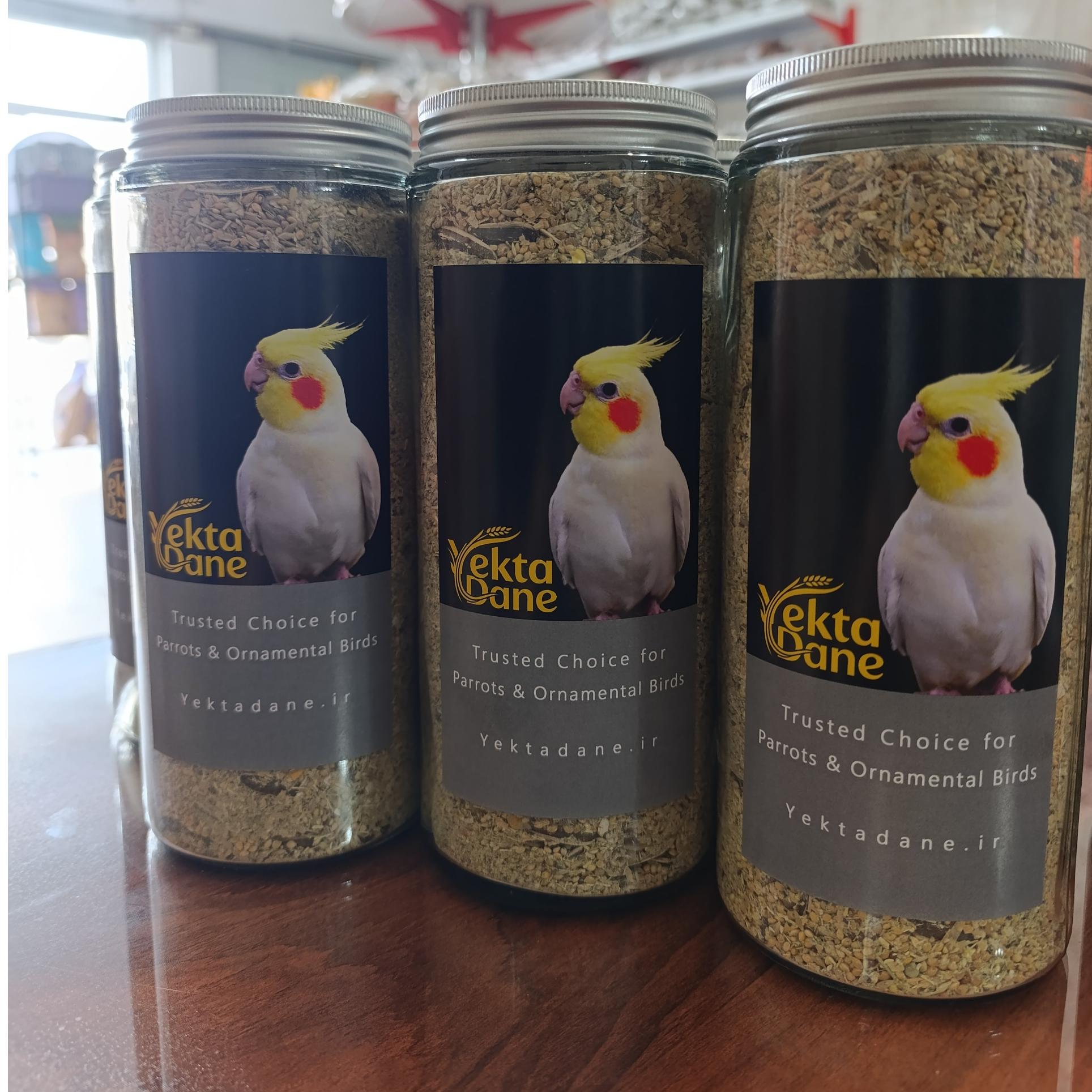 غذای عروس هلندی یکتا دانه