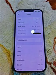 iPhone