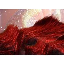 شال