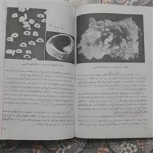 زیست