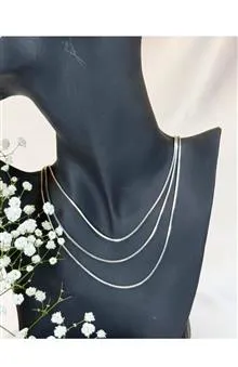 جدیدترین
