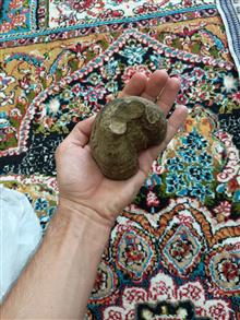 فسیل