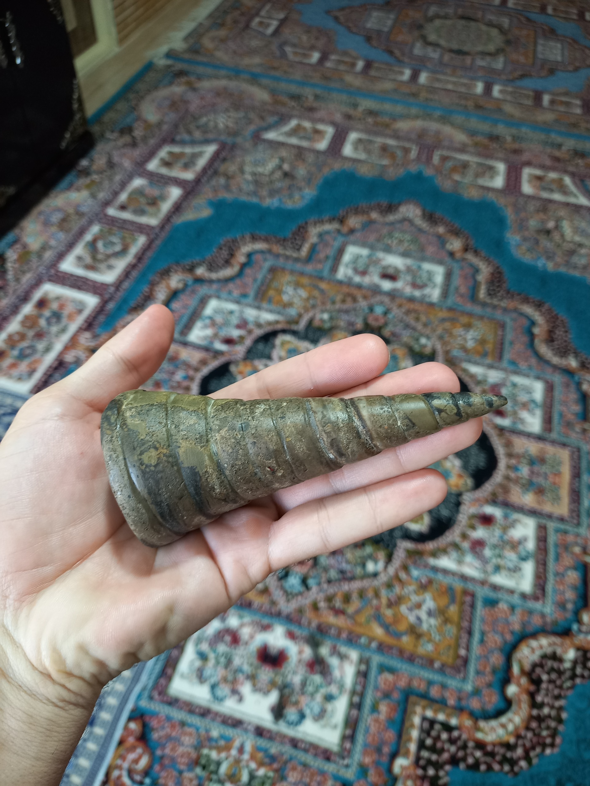 عرج بزرگ (فسیل گاستروپود)