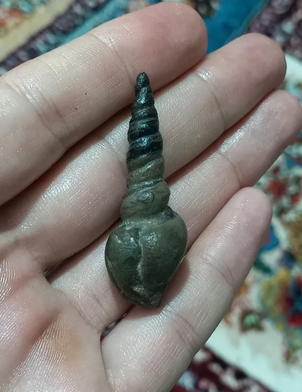 عرج بسیار کمیاب