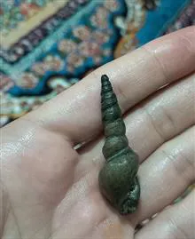عرج