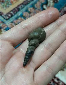 عرج
