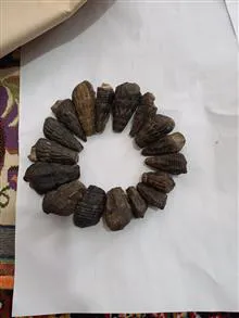 انواع