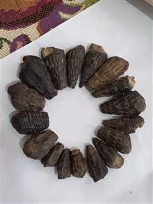 انواع