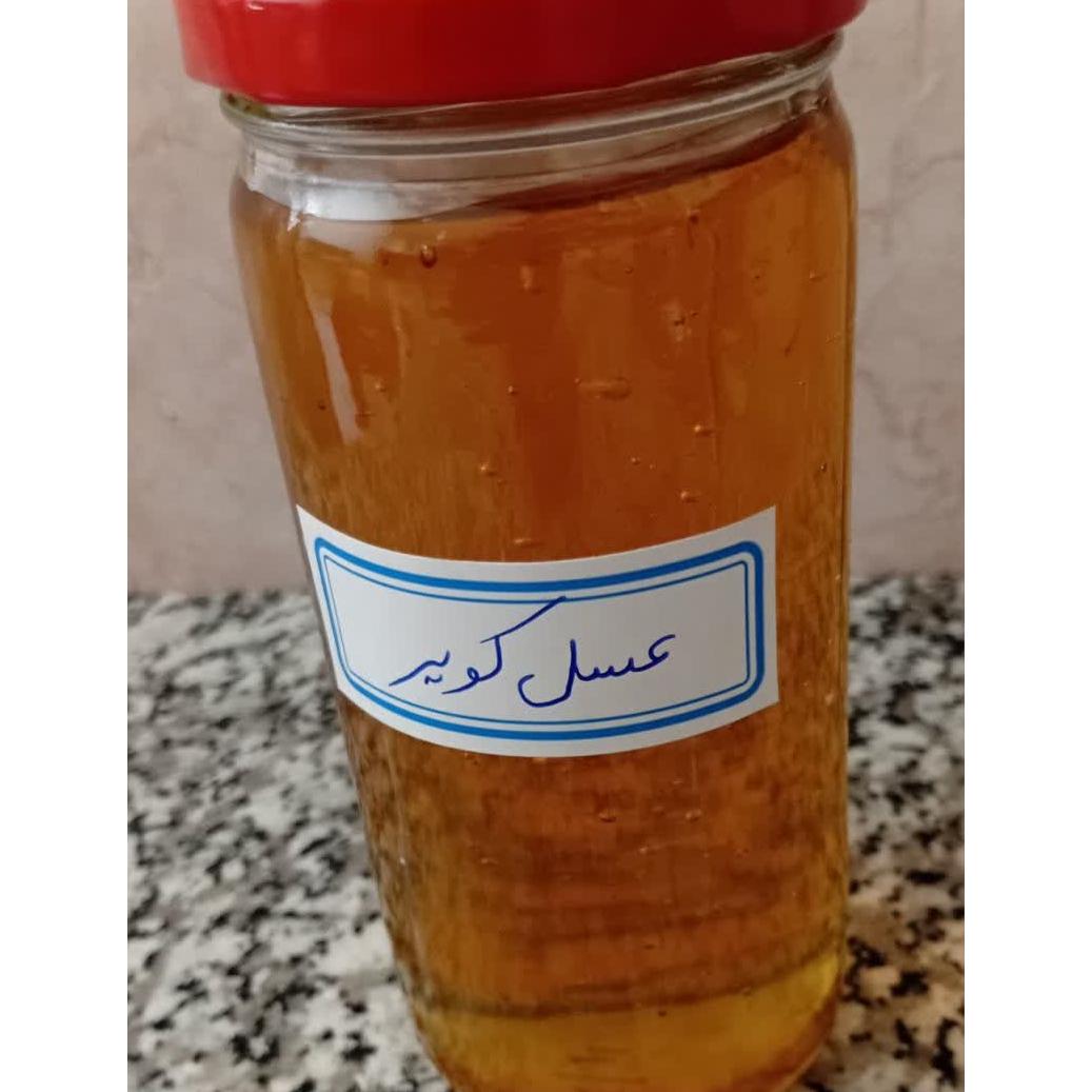عسل کویر دارویی کمیاب و  خاص کوه نیزوا شاهرود