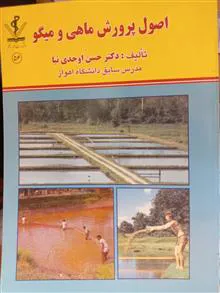 اصول