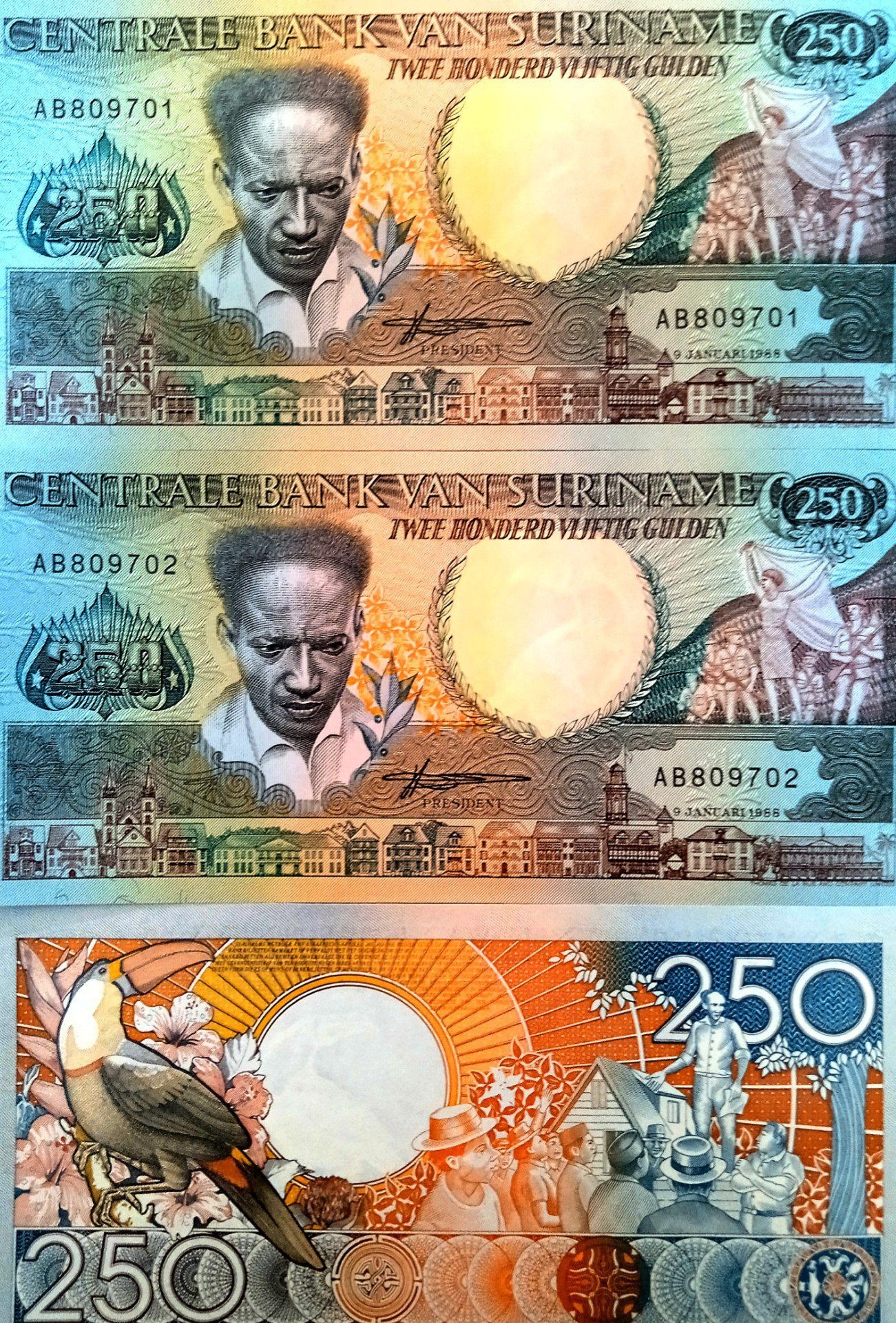 250 گلدن سورینام