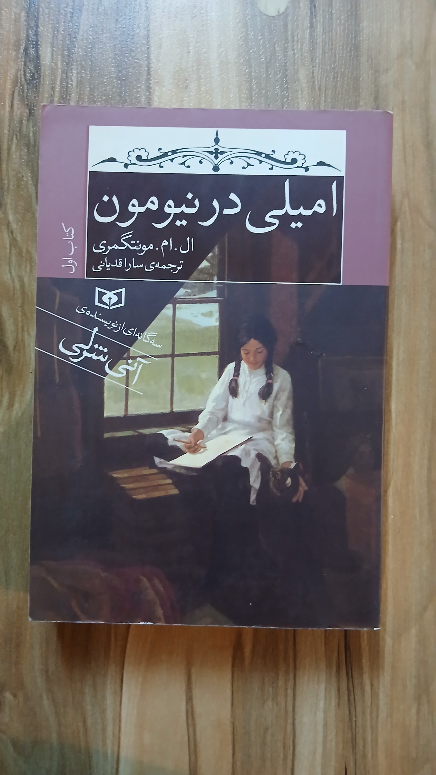 کتاب امیلی در نیومون