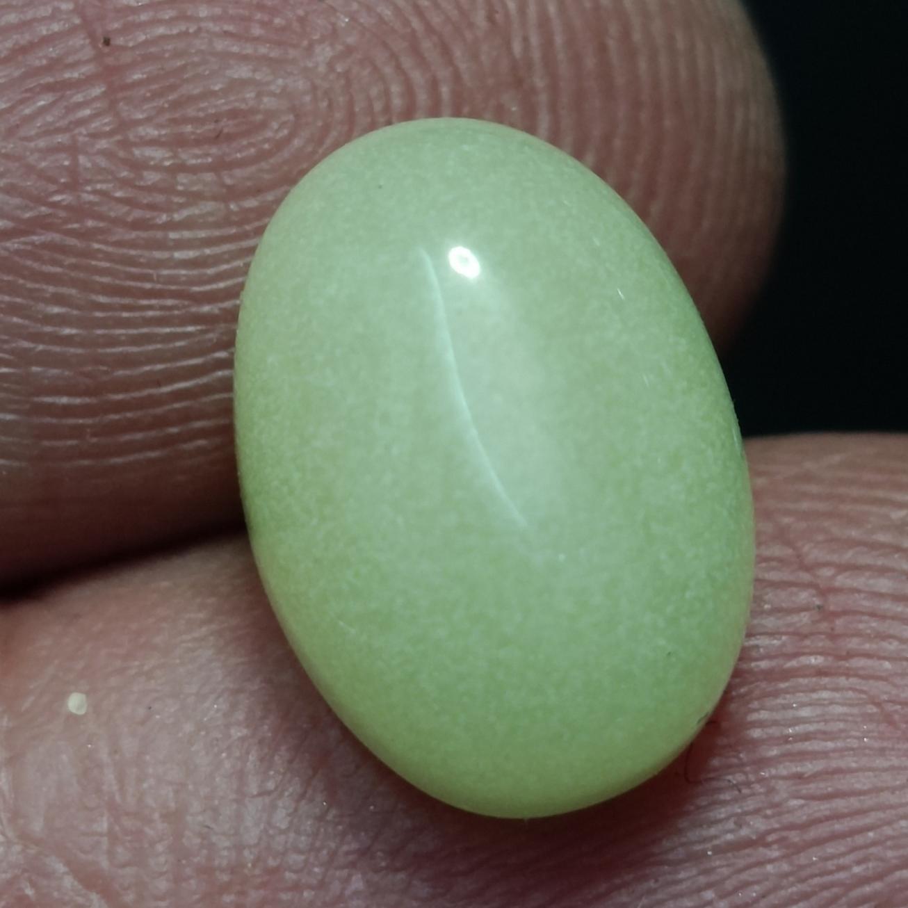 گوهر شب چراغ زیبا