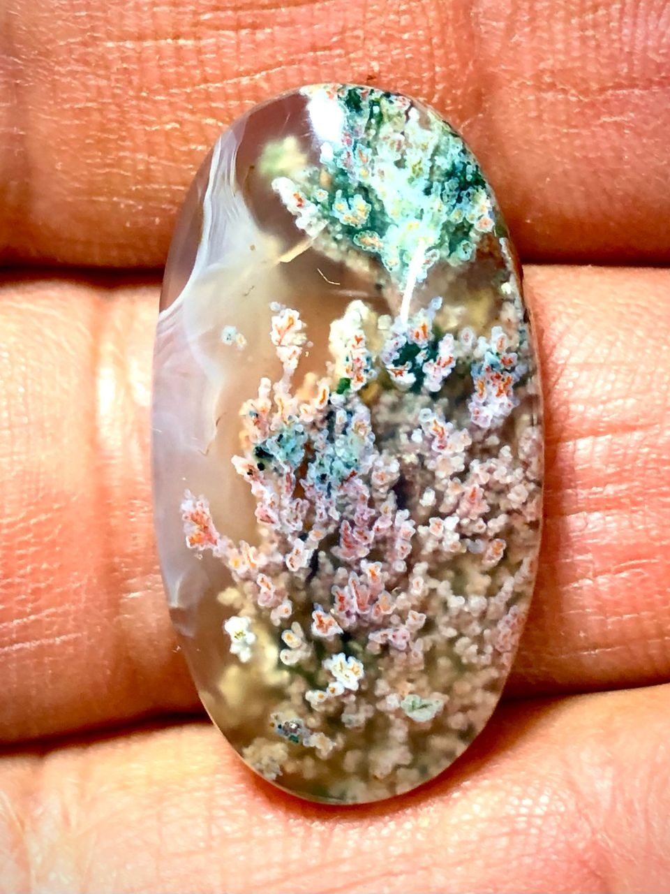 نگین شجر محشر چشم نواز