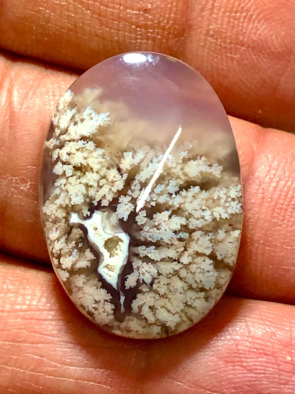 نگین شجر بهاری فوقالعاده