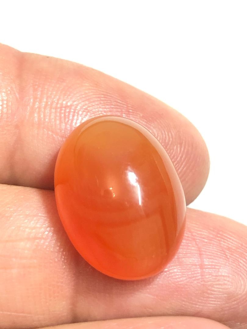 عقیق خراسانی آماده رکاب