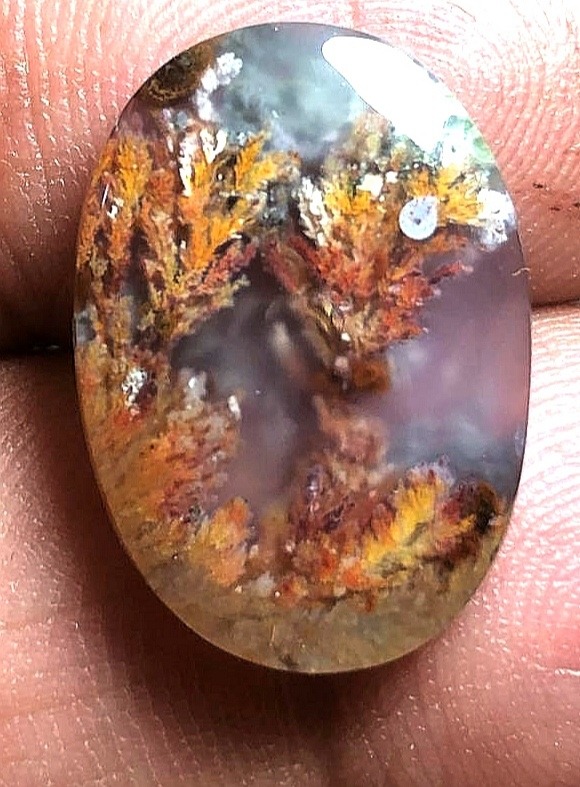 نقاشی دست طبیعت شجر بهاری خیلی محشر کمیاب