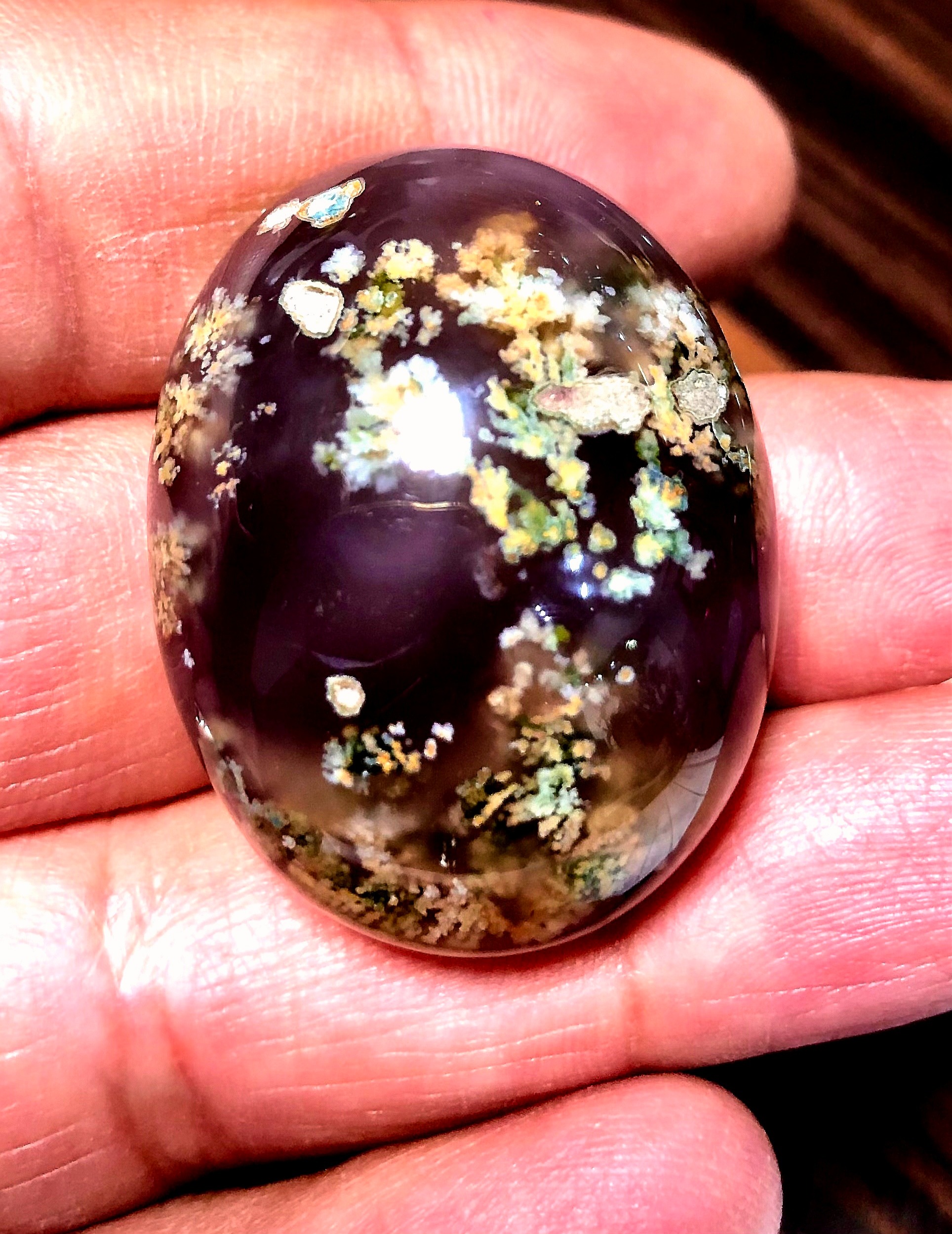 سنگ شجر کلکسیونی درشت و غول پیکر محشر