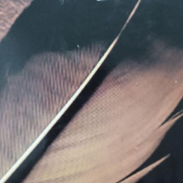 کتاب پر اثری از ماتیسن