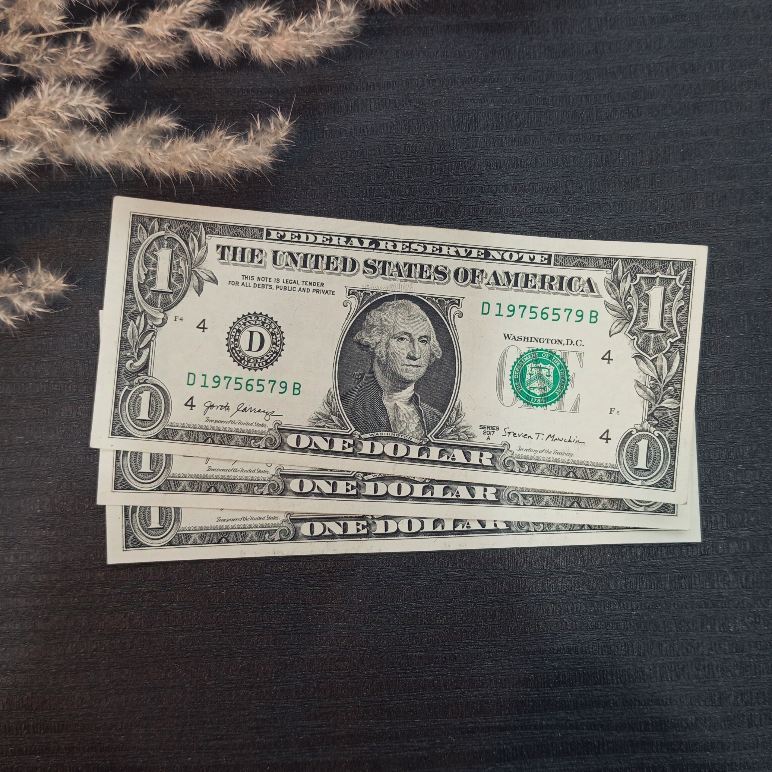 3 عدد اسکناس یک دلاری خشک