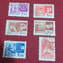 کالکشن