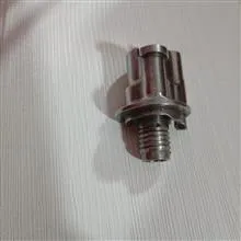 پوسته