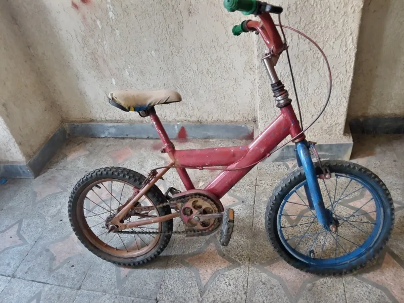دوچرخه کوچک 16