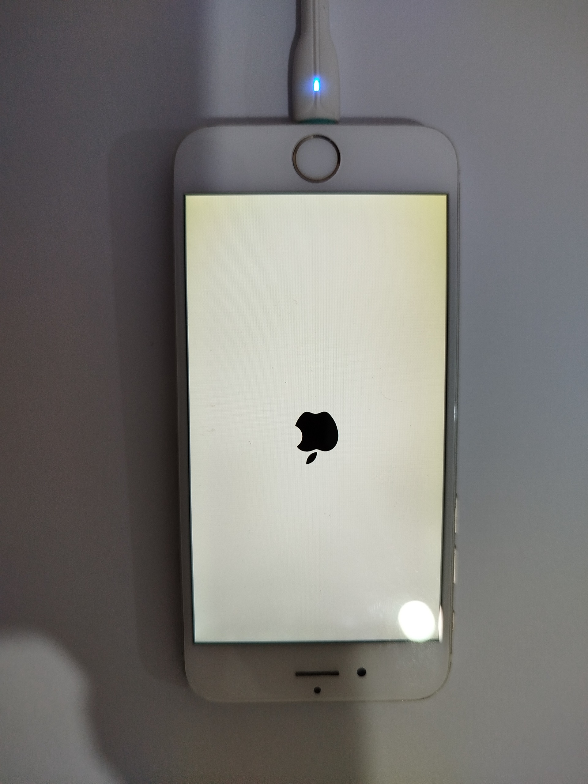 السیدی آیفون6 سفید