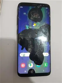 برد