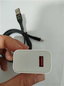 کلگی