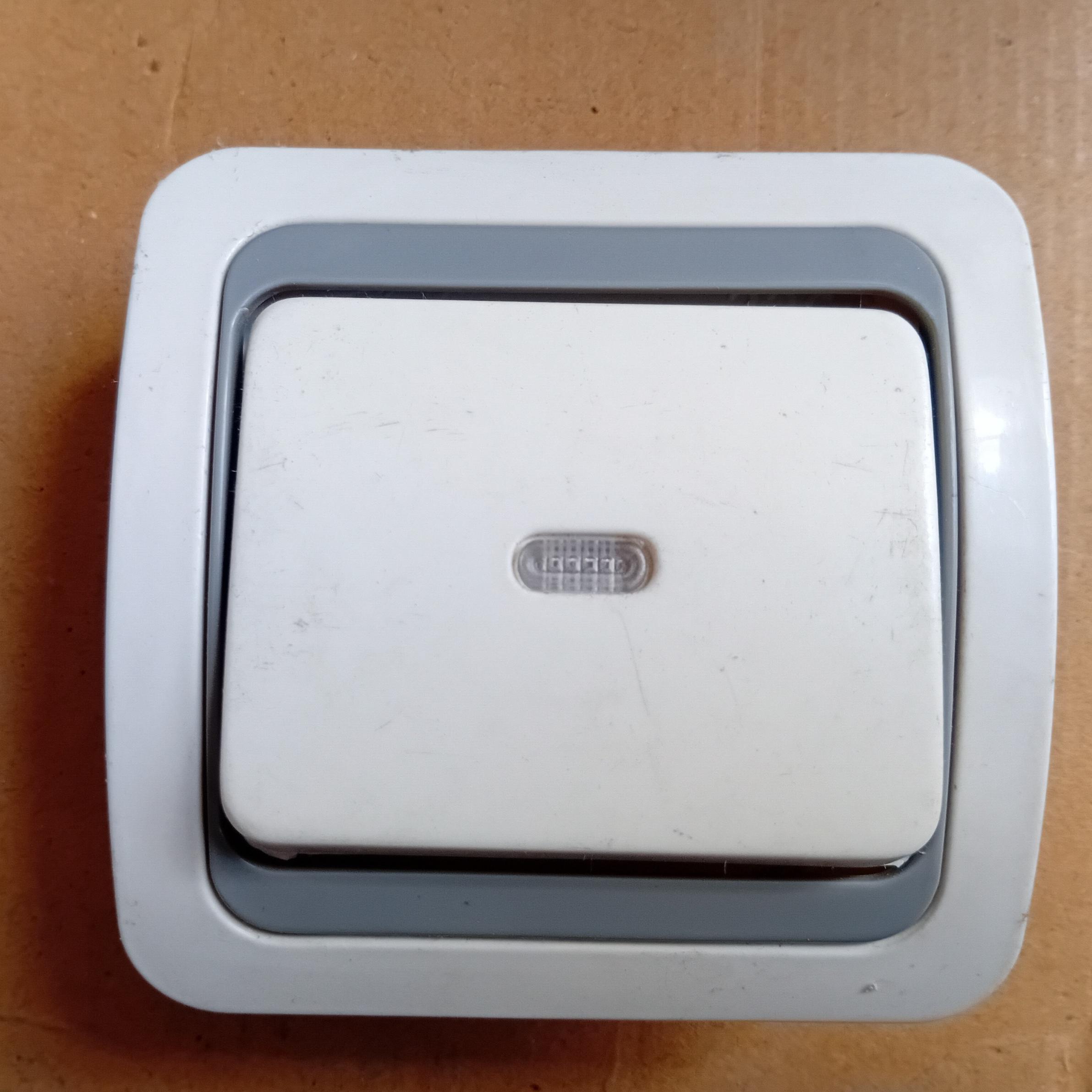 کلید یکپل سفید نقره ای