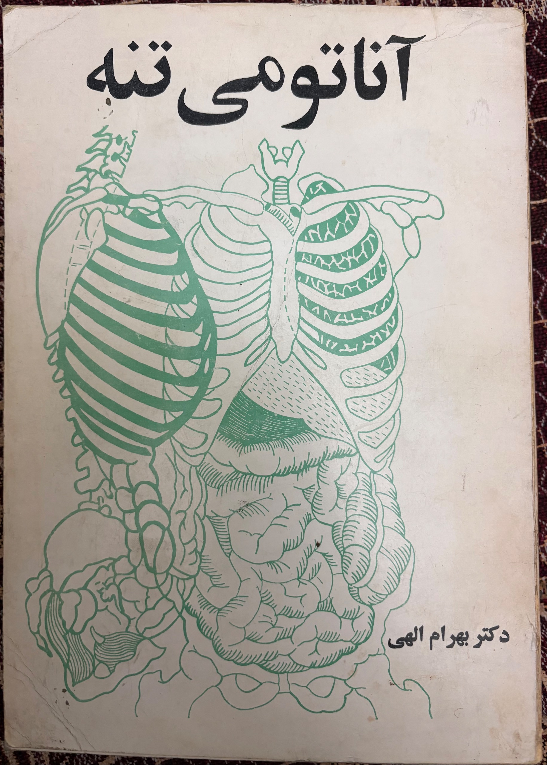 آناتومی تنه دکتر بهرام الهی