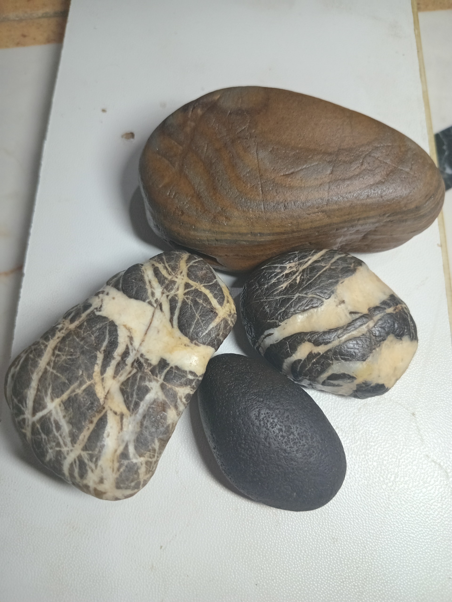سنگ کلکسیونی نو