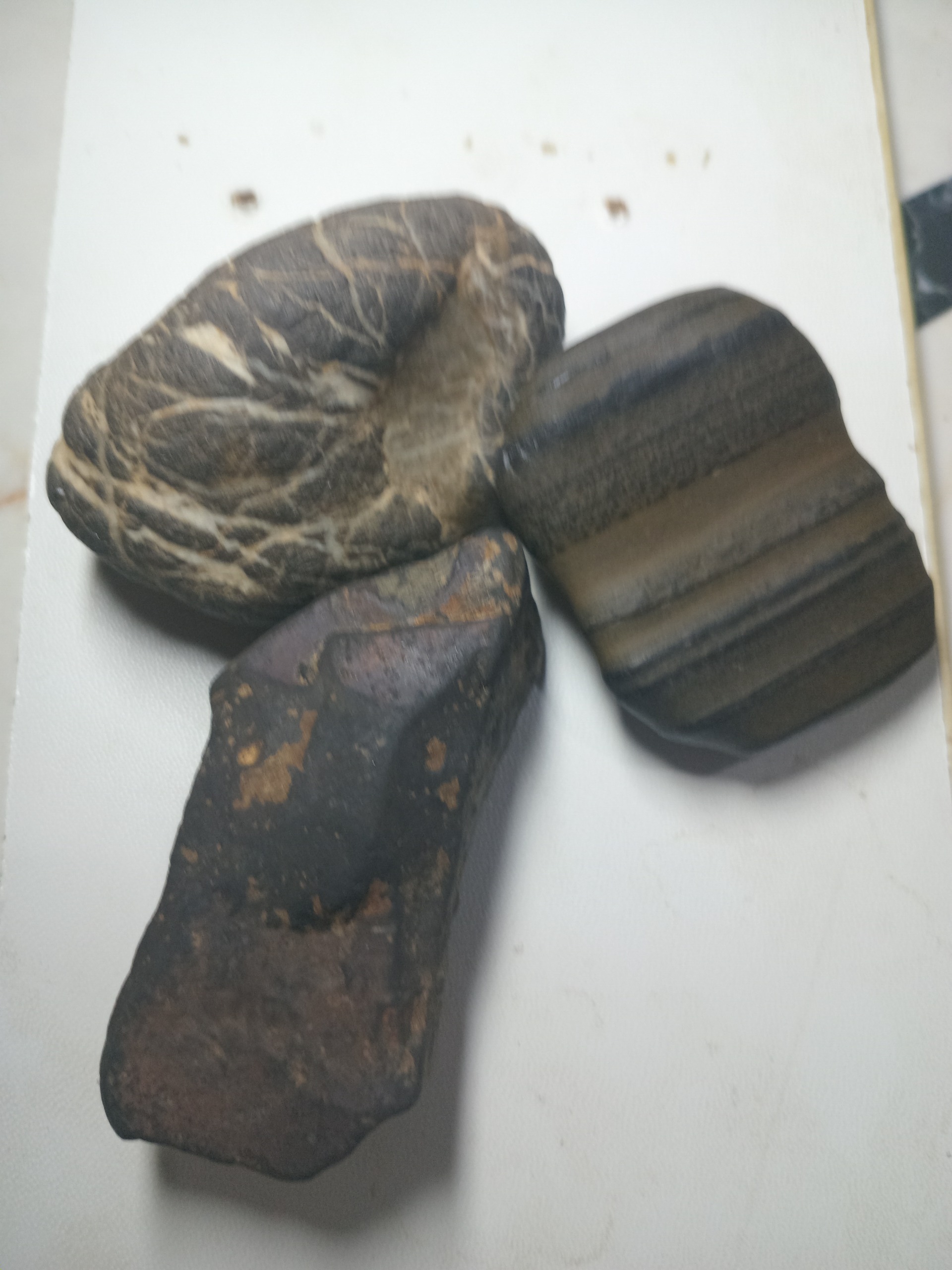 سنگ کلکسیونی نو