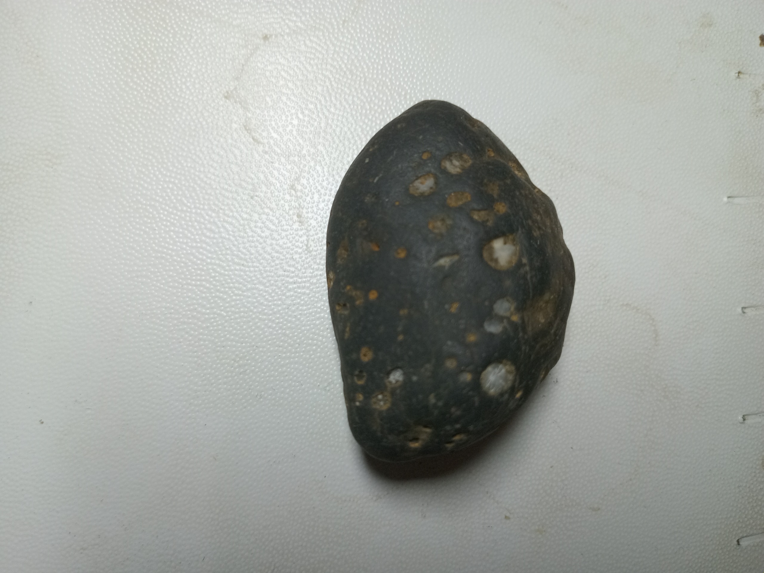 سنگ کلکسیونی نو