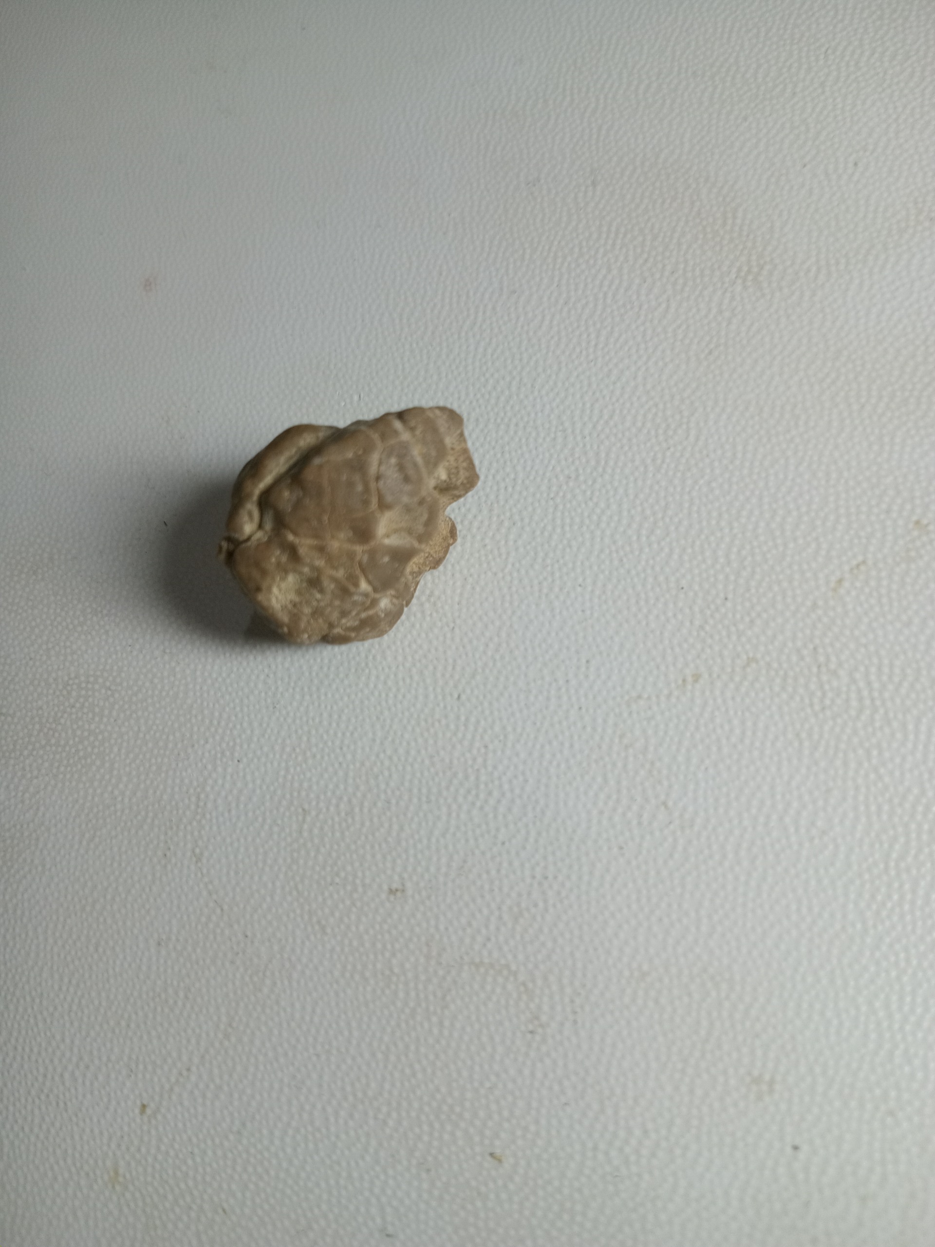 سنگ کلکسیونی نو