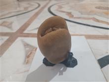 سنگ