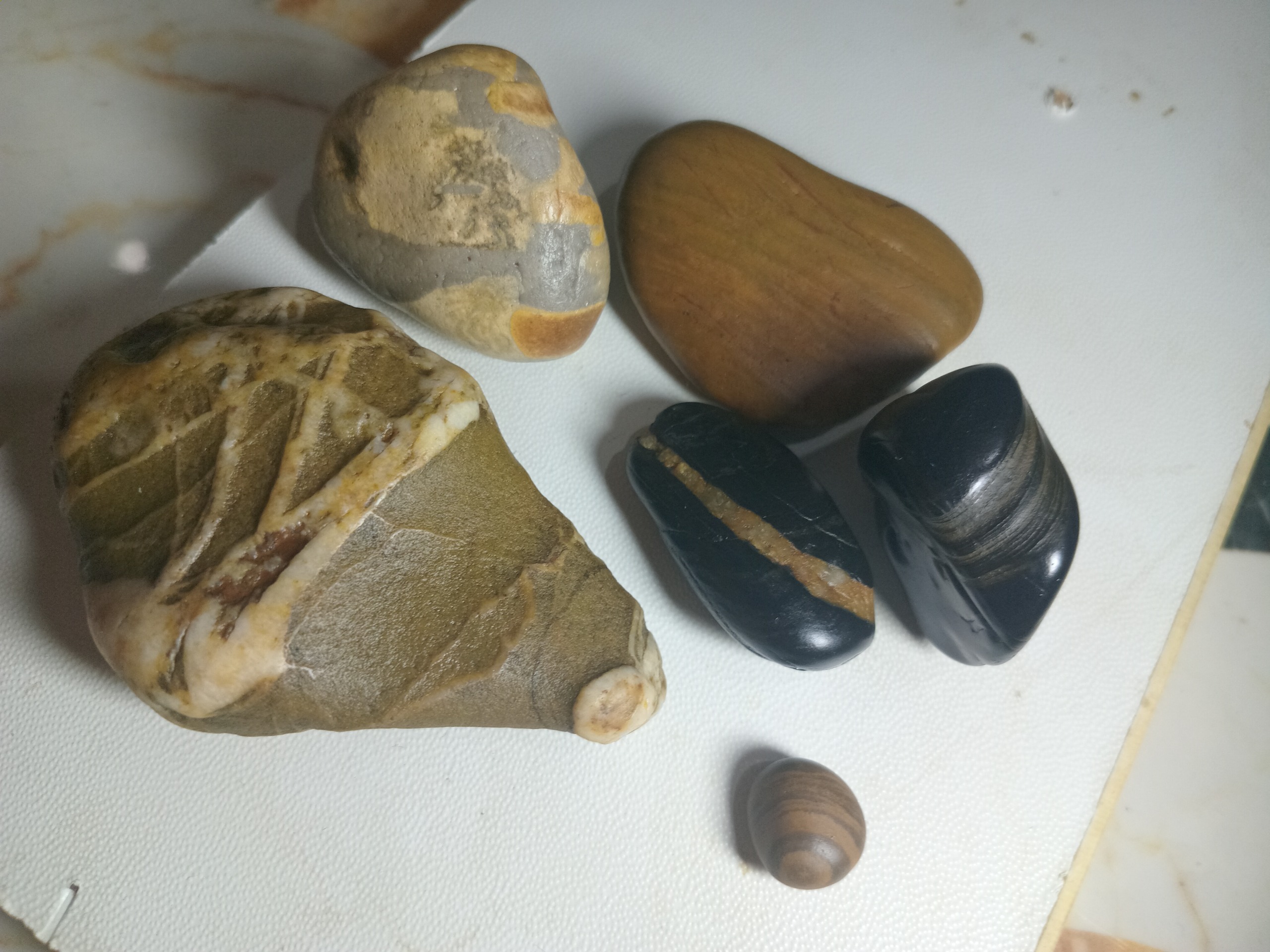 سنگ کلکسیونی نو
