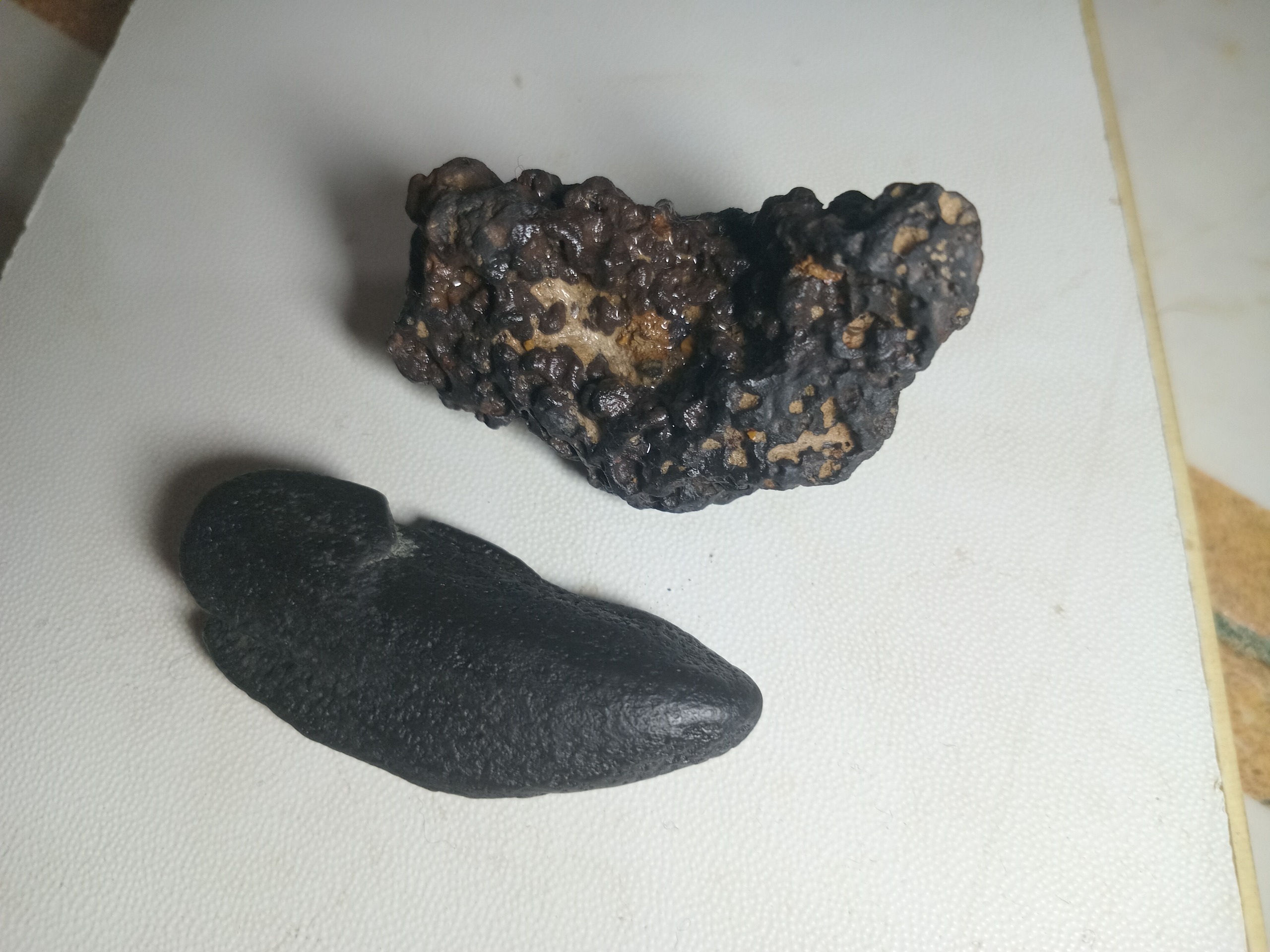 سنگ کلکسیونی نو