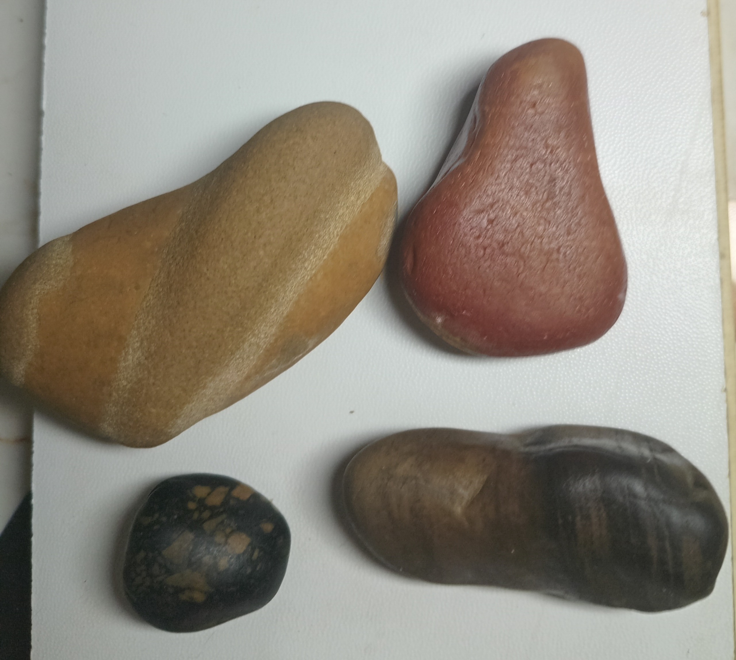 سنگ کلکسیونی نو